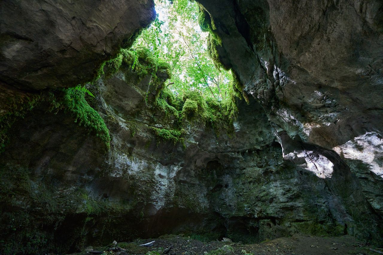 Sentier karstique des Malrochers à Besain, près de Poligny 08